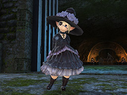 エッダ・コスチュームセット | FINAL FANTASY XIV Online Store
