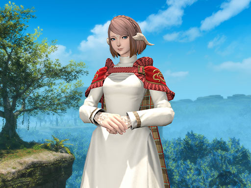 コスチュームセット | FINAL FANTASY XIV Online Store