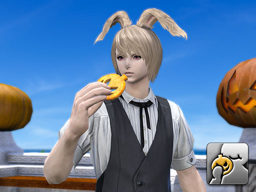 ファイナルファンタジー14 FF14 追従システム型ストレスボール 2個