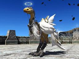 FINAL FANTASY XIV チョコボ 形状 アイテム XIV チョコボ 形状 アイテム（マイチョコボの装備を着せ替えたい