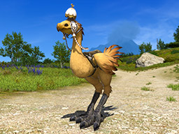 FINAL FANTASY XIV チョコボ 形状 アイテム XIV チョコボ 形状 アイテム（マイチョコボの装備を着せ替えたい