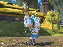 チョコボ装備]エッグハンター・バード | FINAL FANTASY XIV Online