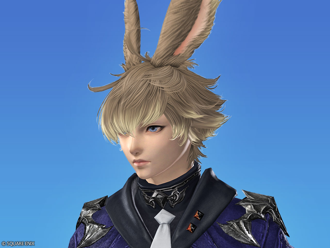 ニュー・アルフィノ・コスチュームセット | FINAL FANTASY XIV Online