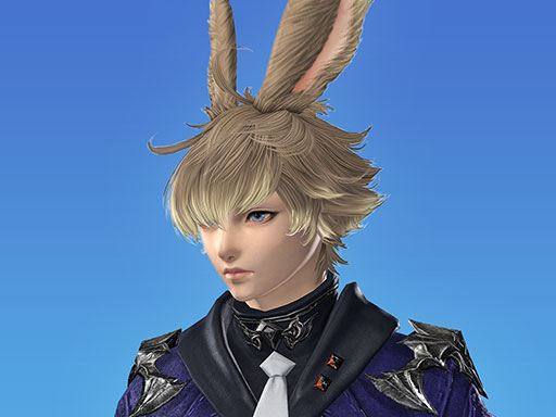 ニュー・アルフィノ・コスチュームセット | FINAL FANTASY XIV Online