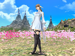 リーン・コスチュームセット | FINAL FANTASY XIV Online Store -ファイナルファンタジーXIV オンラインストア-