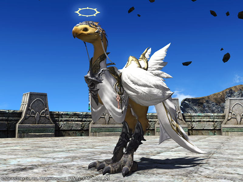 FINAL FANTASY XIV チョコボ 形状 アイテム XIV チョコボ 形状 アイテム（マイチョコボの装備を着せ替えたい
