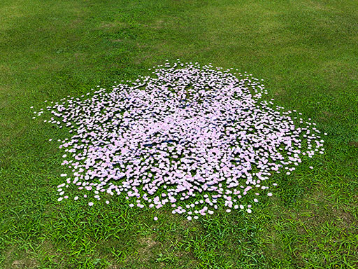 Authentic Eastern Cherry Petal Pile | FINAL FANTASY XIV Online Store